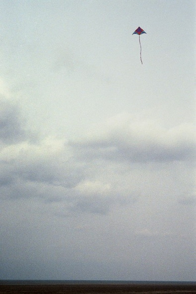 Kite Large Web view.jpg
